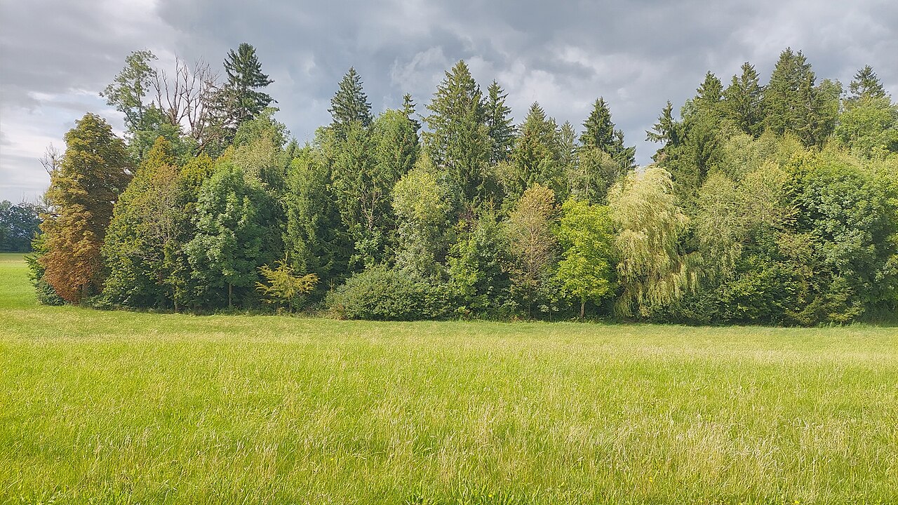 nature reserve Bimisdorfer Mösle in the municipality of Wangen im Allgäu