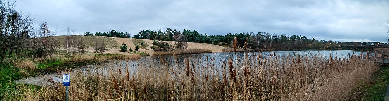 shifting dune in Gommern