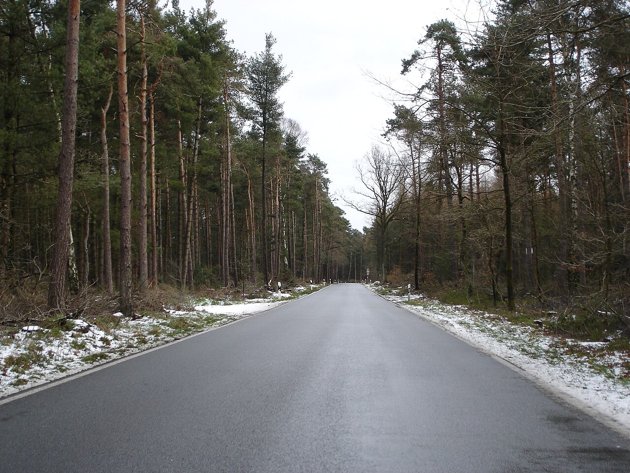 Auf dem Riesenbecker Postweg auf dem Gipfel des Birgter Berges zwischen Ibbenbüren und Riesenbeck-Birgte