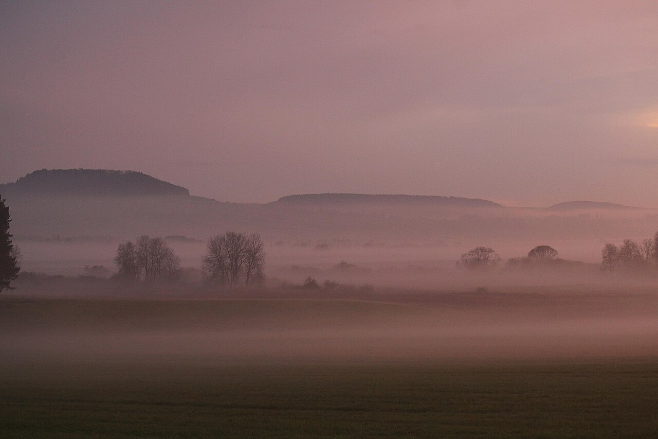 Nebel im NSG Birken-Mittelmeß