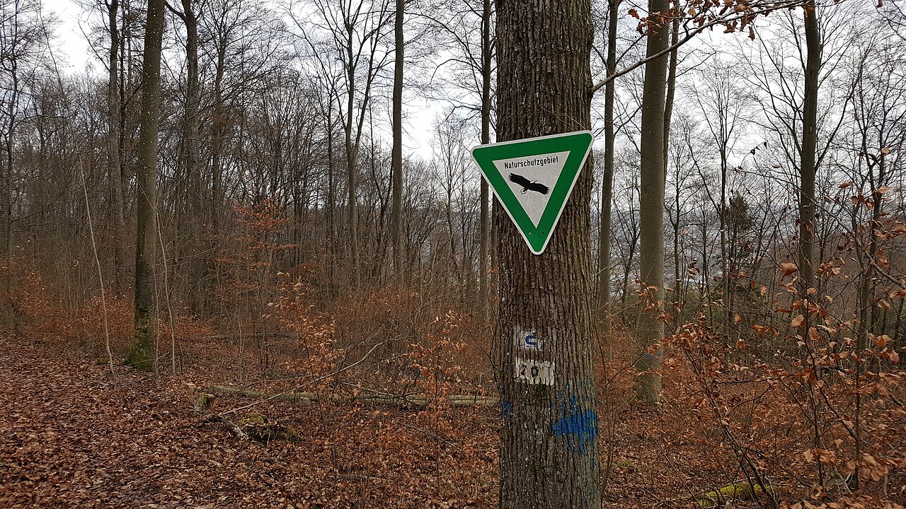 Das Naturschutzgebiet Birkenberg bei Bad Mergentheim