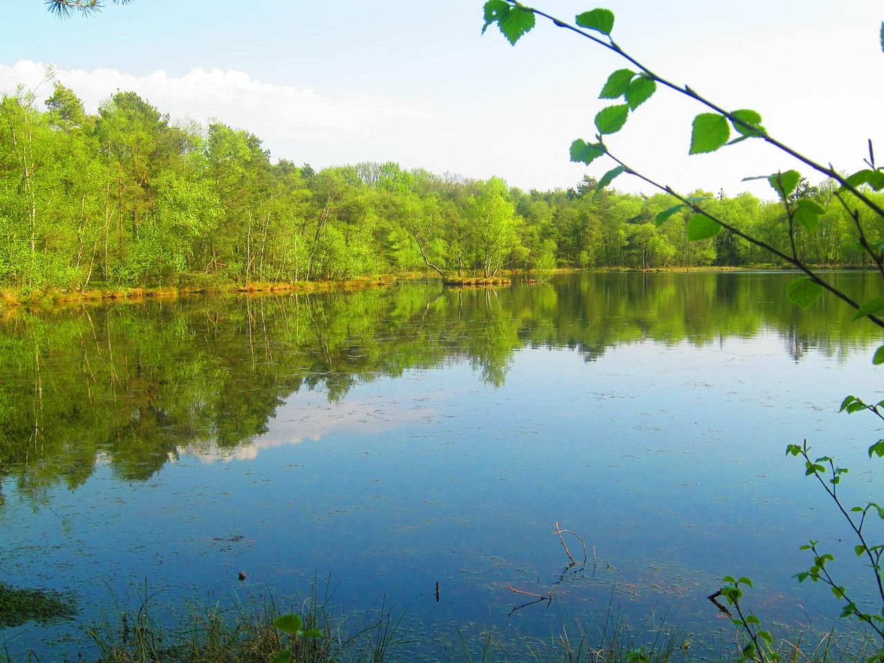Der Birkensee im gleichnamigen Naturschutzgebiet in der Lüneburger Heide in Niedersachsen