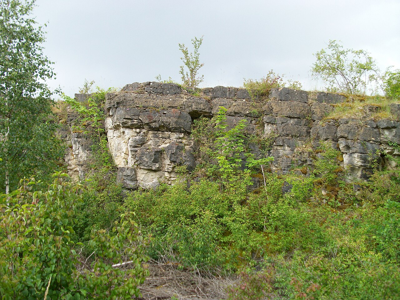 Naturschutzgebiet Birzberg