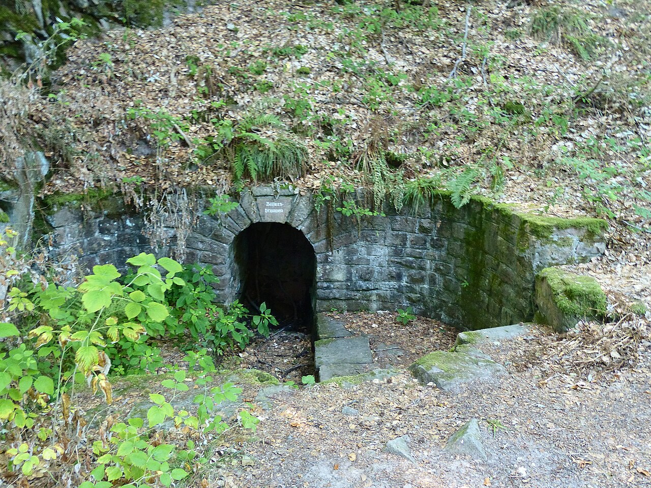 Der Bittersbrunnen liegt am Heiligenberg unterhalb der St