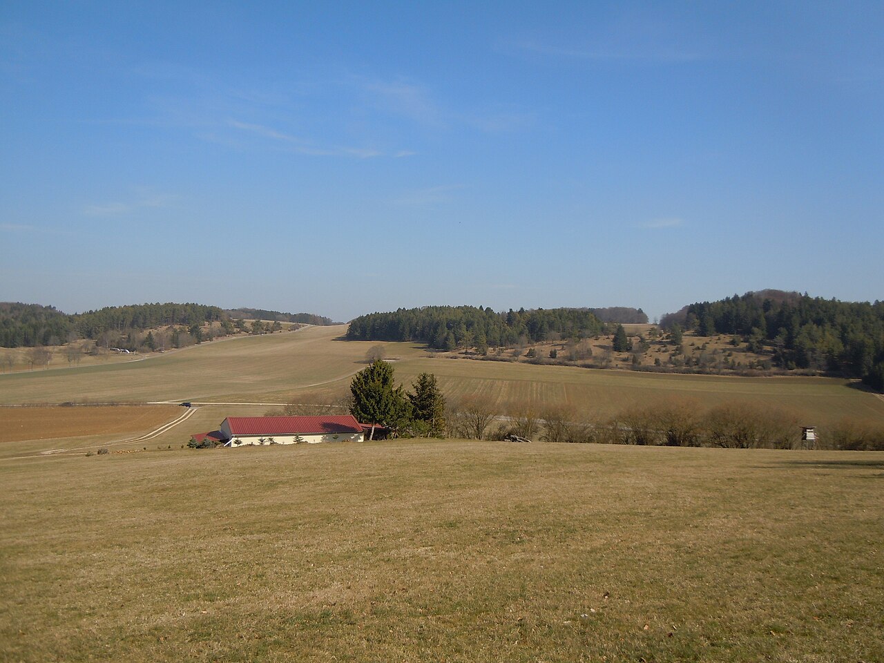 Naturschutzgebiet Blasenberg-Ringelesberg