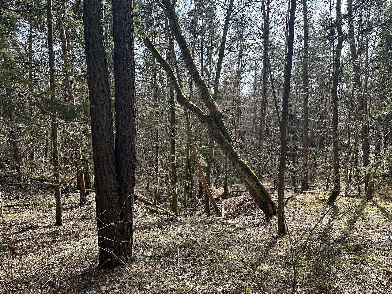 Naturschutzgebiet Blauen bei Sigmaringen