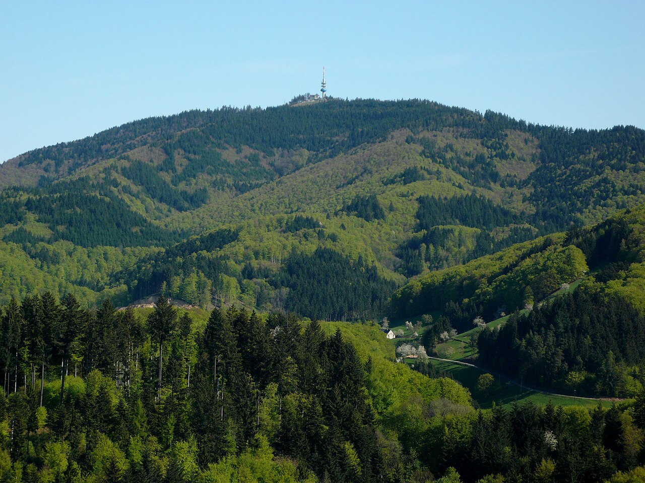 Hochblauen seen from South