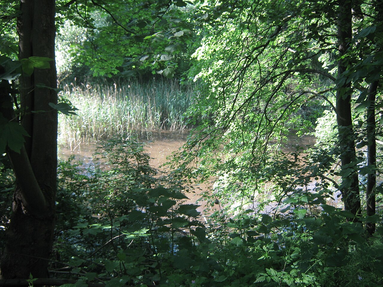 Naturschutzgebiet Blaulach im Neckartal auf Gemarkung Kusterdingen