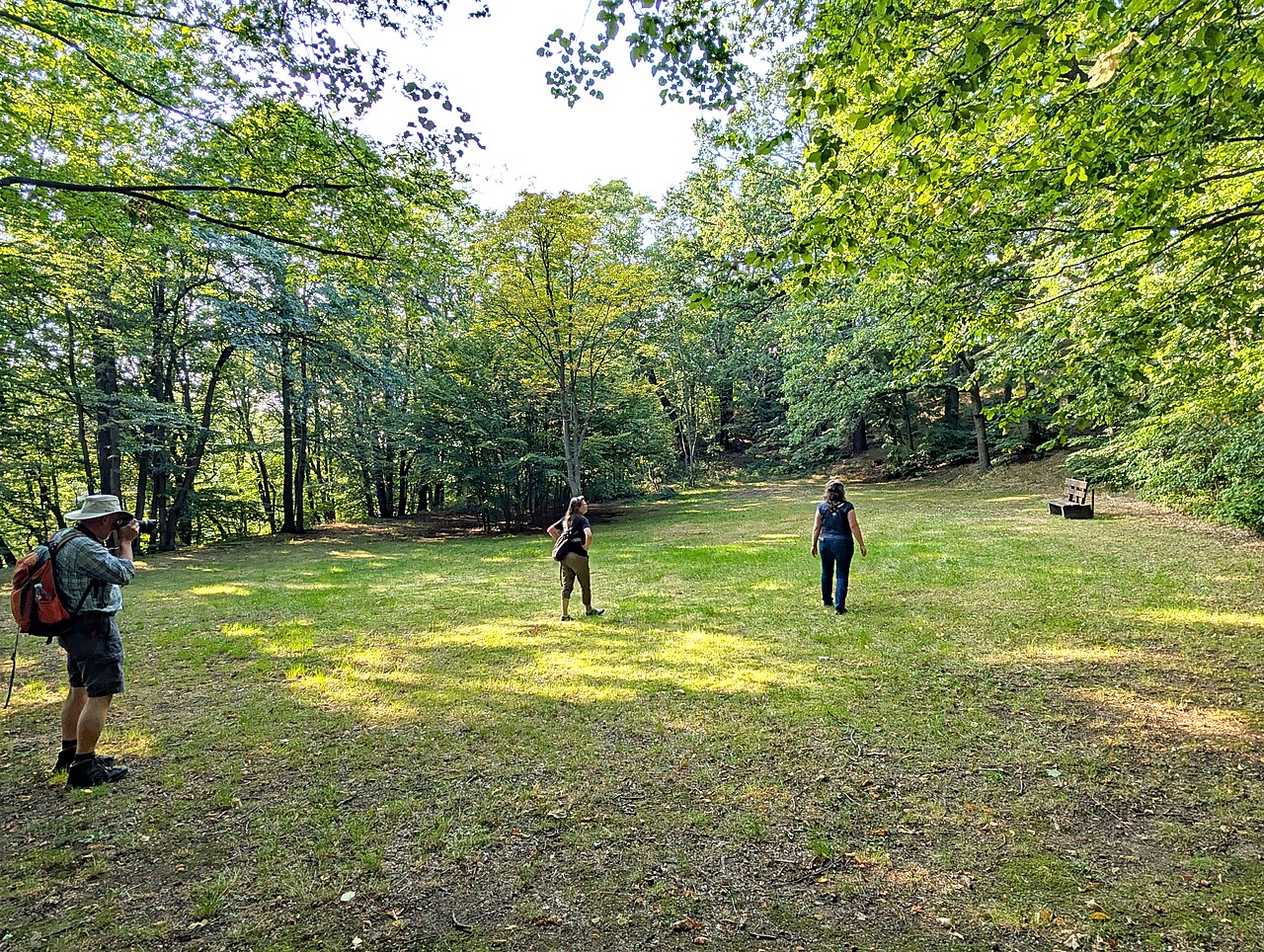Schanze Blösa (Kubschütz, Saxony, Germany)