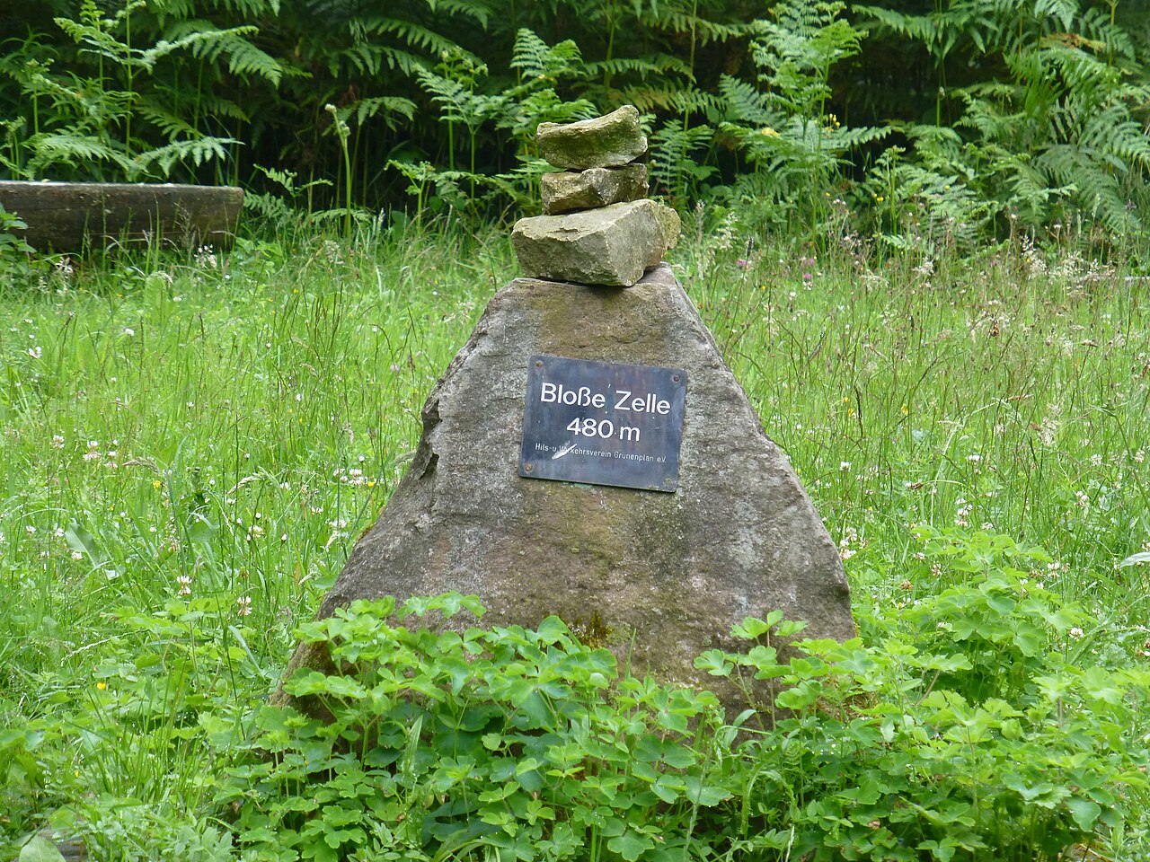 Gipfelstein auf der Bloßen Zelle