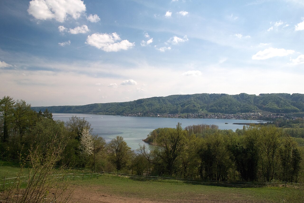 Blick aufs Naturschutzgebiet „Bodenseeufer (Bodman-Ludwigshafen)“