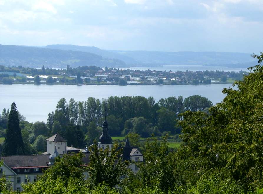Blick auf die Insel Reichenau oberhalb von Hegne