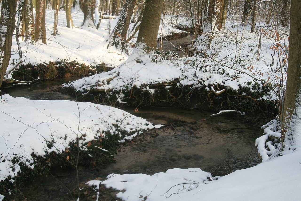 Verlauf der Bombecker Aa im Schnee im NSG Bombeck