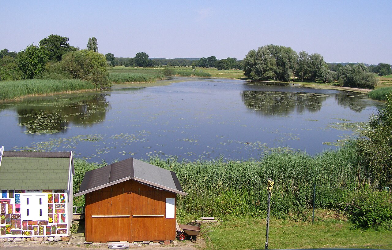 Foto von Borghorster Elblandschaft
