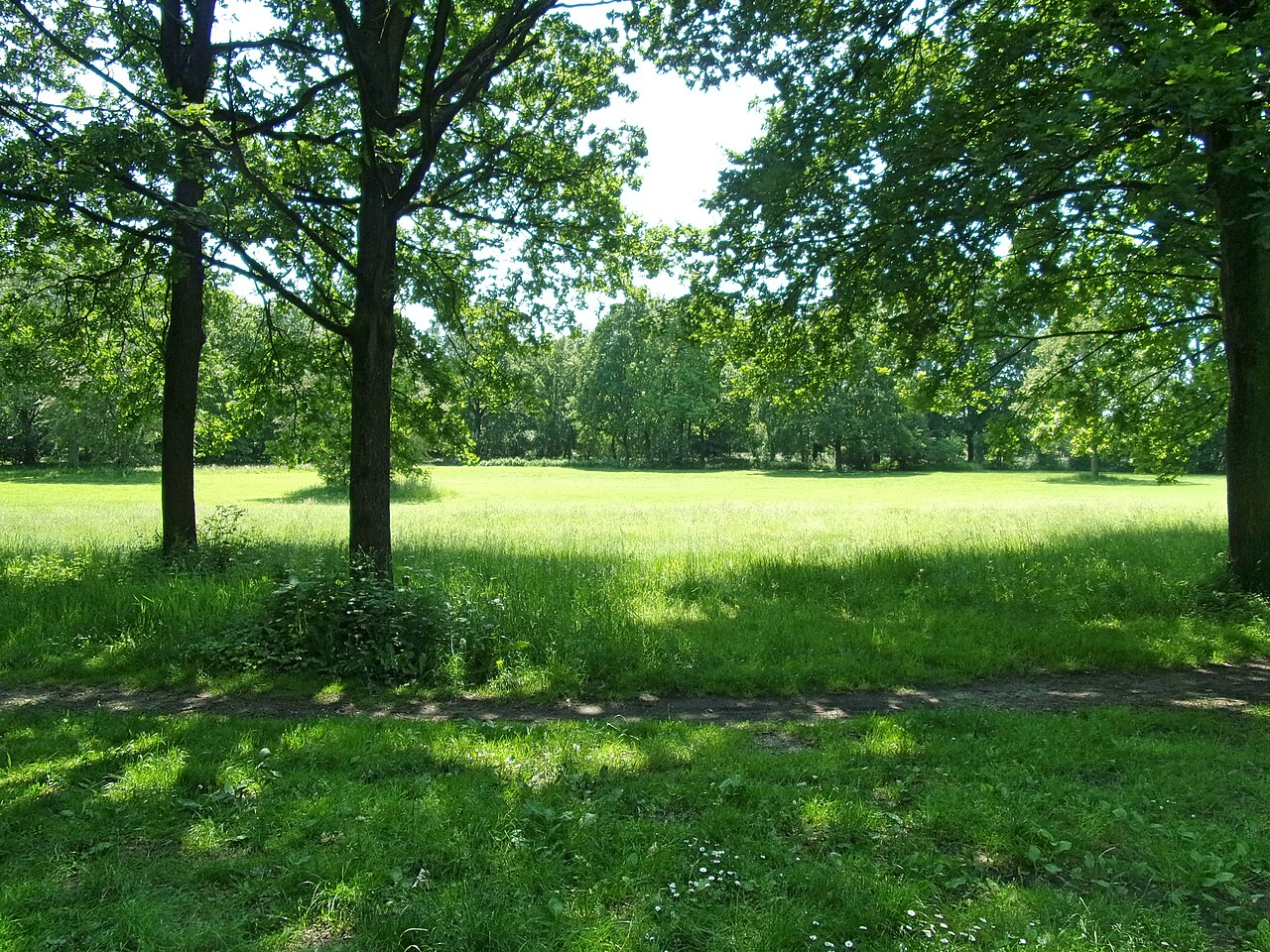 Foto von Born Park