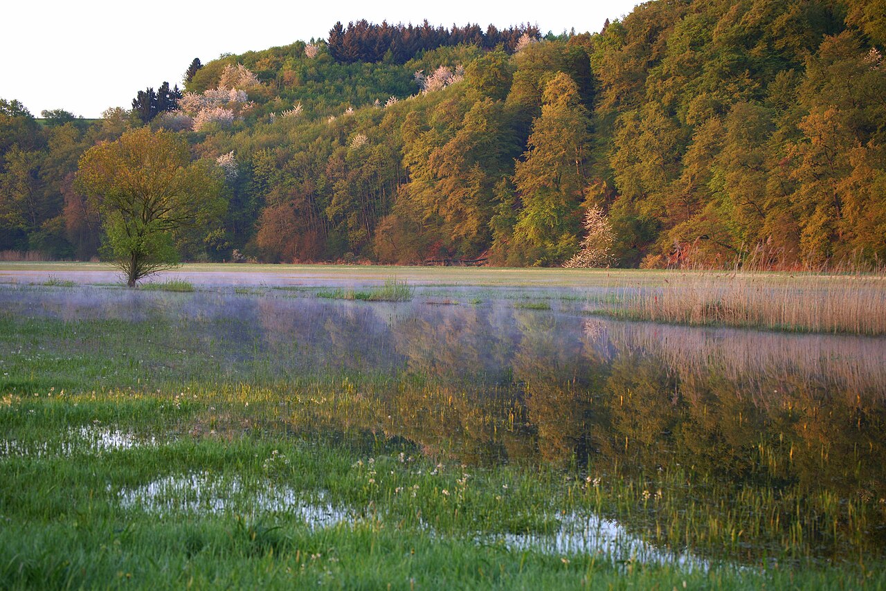 Mehrmals jährlich überschwemmt die Nidder und lässt die Bornwiesen zu einem See werden