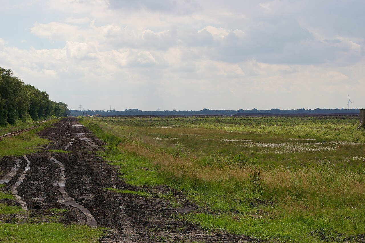 Das Borsteler Moor südlich von Borstel