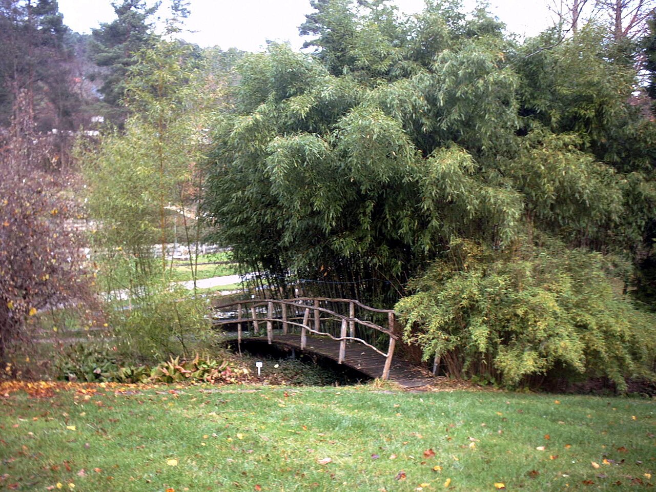 Tübingen - Neuer Botanischer Garten