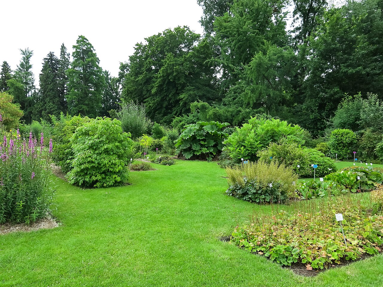 Botanischer Garten der Universität Bonn