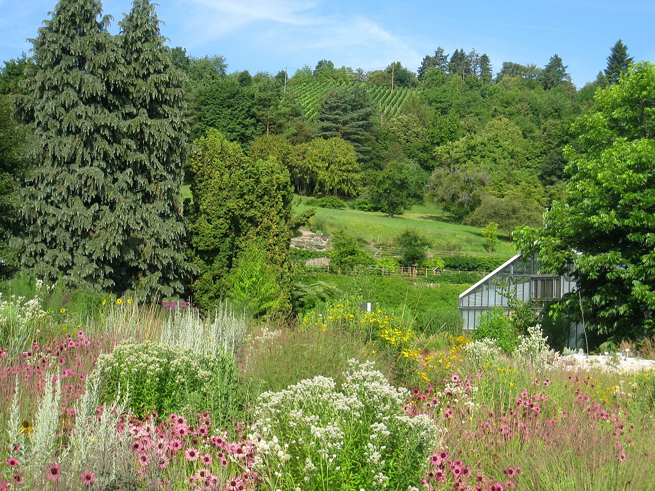 General view - Botanischer Garten der Universität Würzburg, Würzburg, Germany