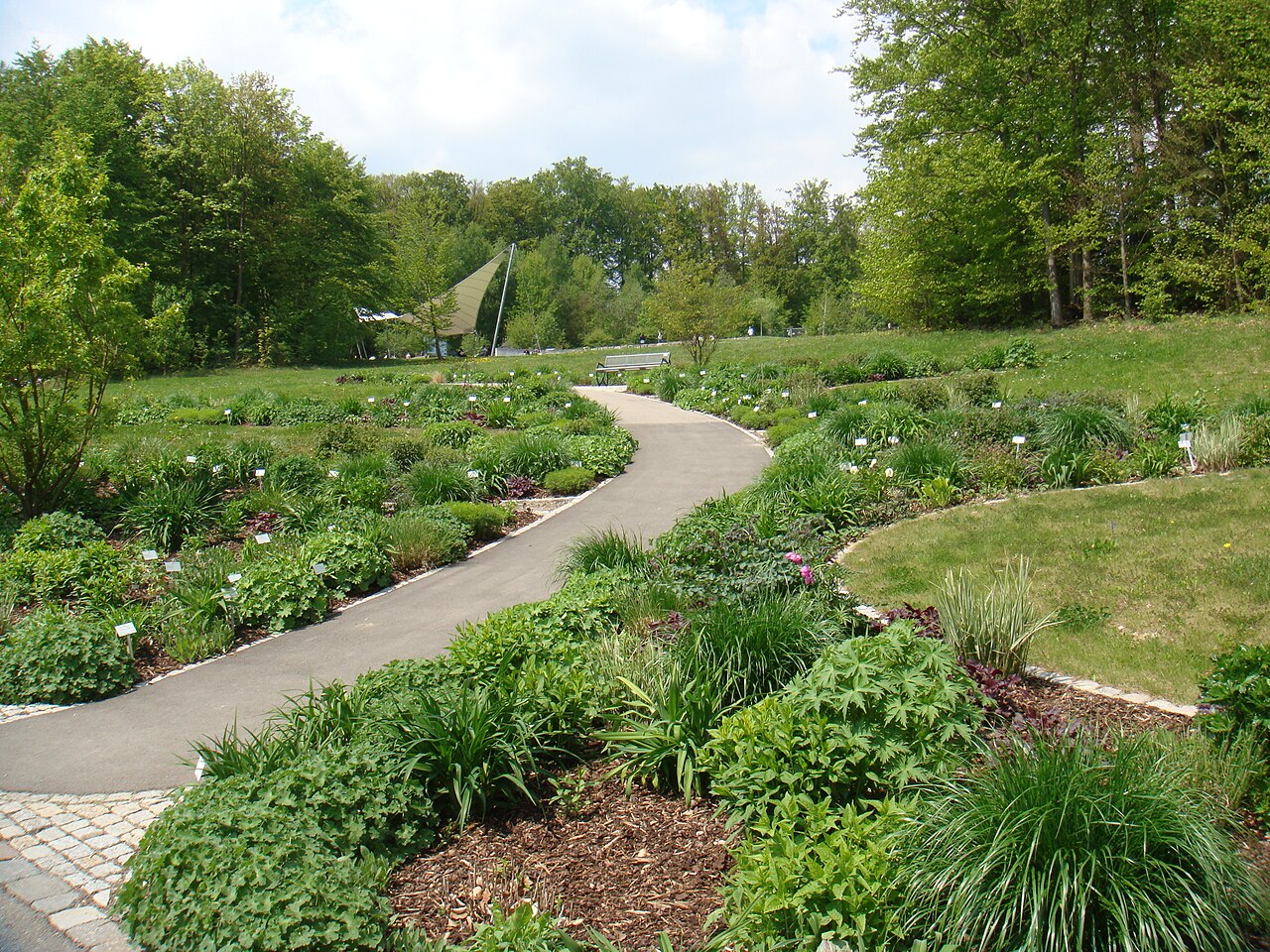 Tagliliengarten im Botanischen Ulm