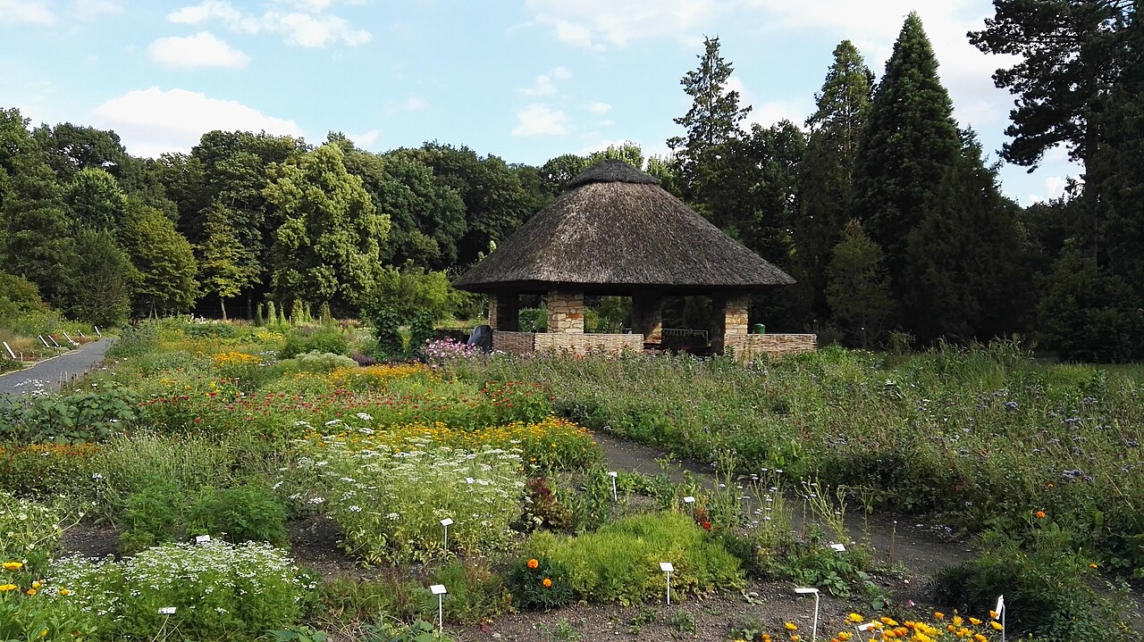 Blick in den Botanischen Garten Dresden