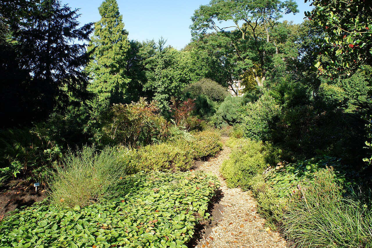 Botanischer Garten in Duisburg-Duissern