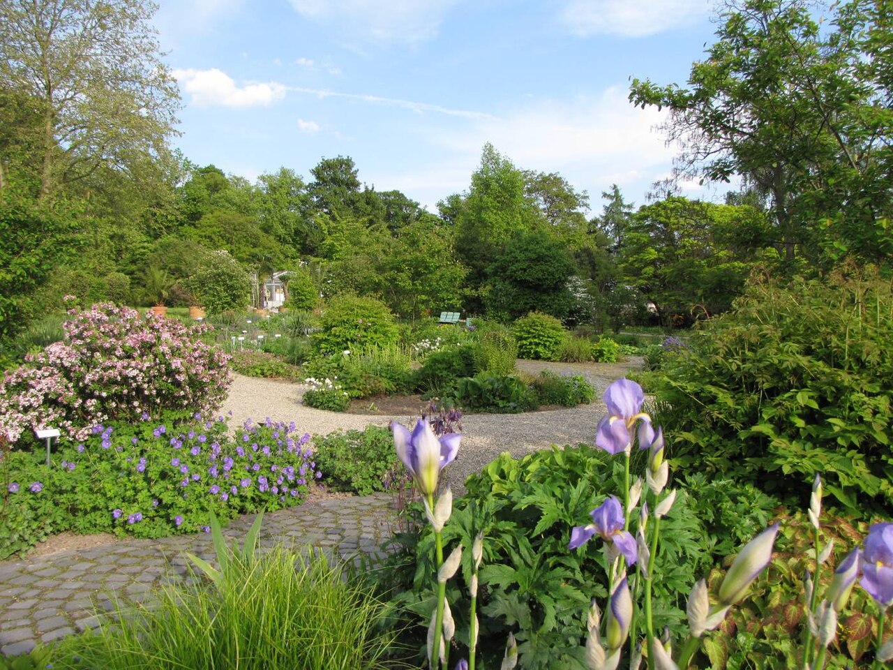 Germany / Cassel: botanical garden