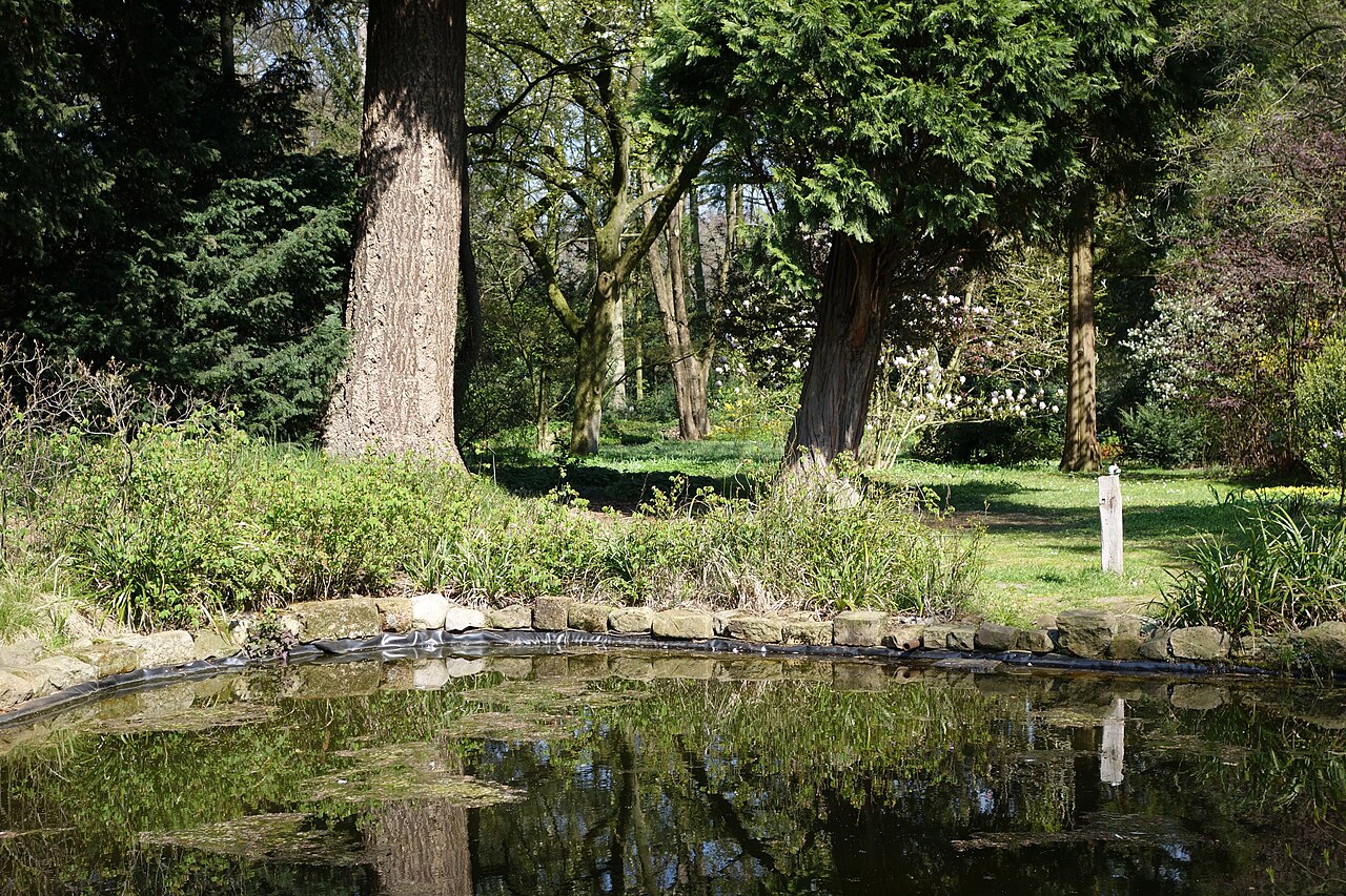 Botanischer Garten Loismann, Frühlingsaspekt