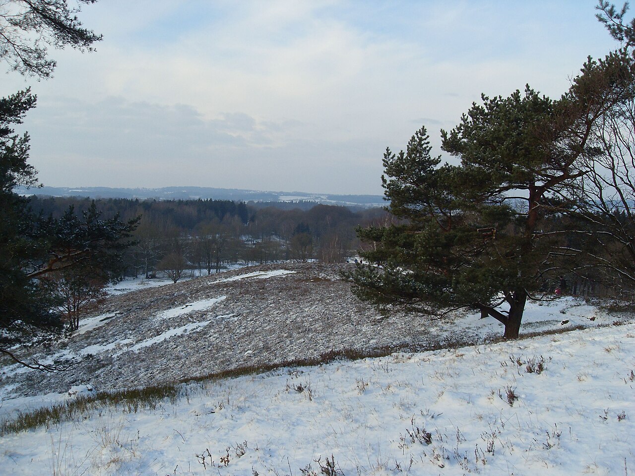 View from Boxberg over the Naturpark Aukrug