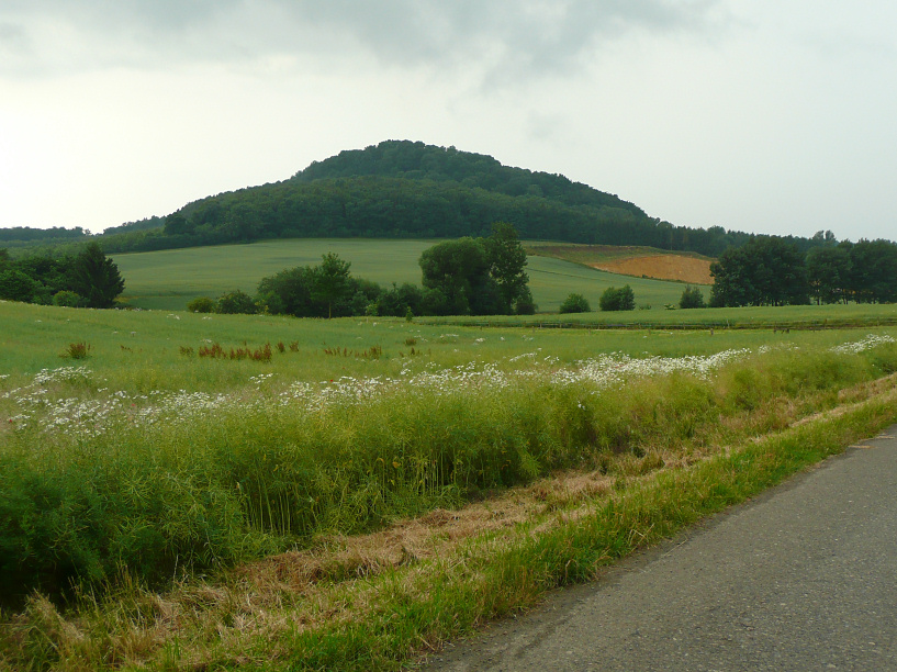 Der Brackenberg im Naturpark Münden, bei Scheden-Meensen, Landkreis Göttingen, Niedersachsen, Deutschland