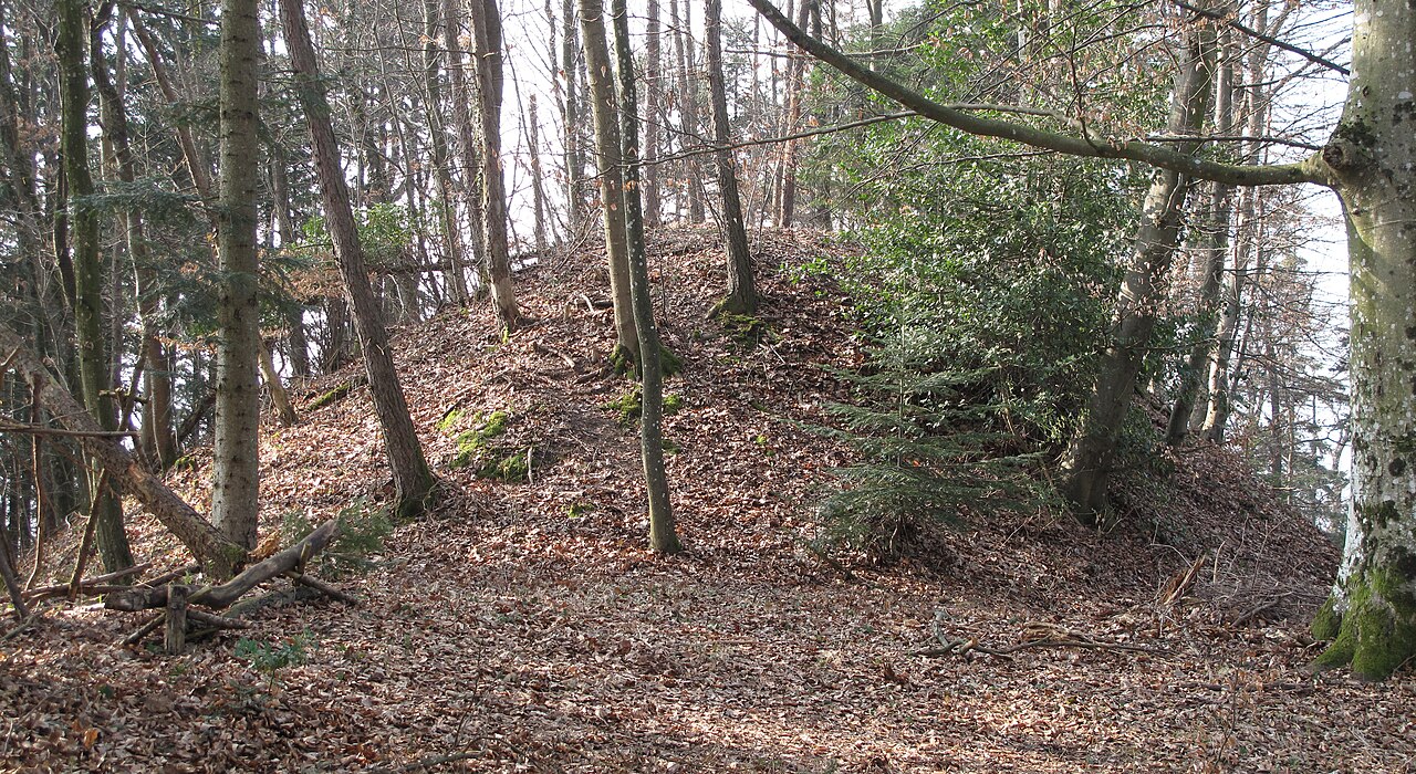 Burgstelle von Südosten