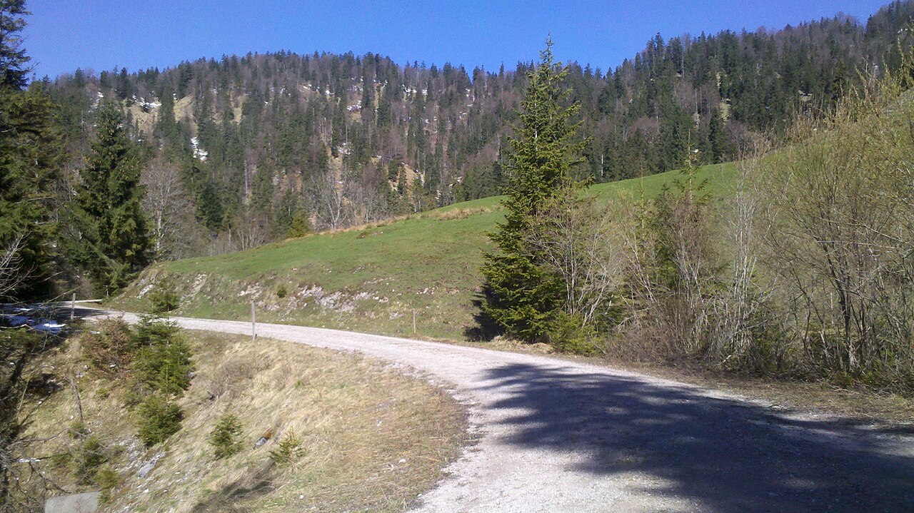 Brandkopf (Schergenwieser Berg), Bavaria, south face