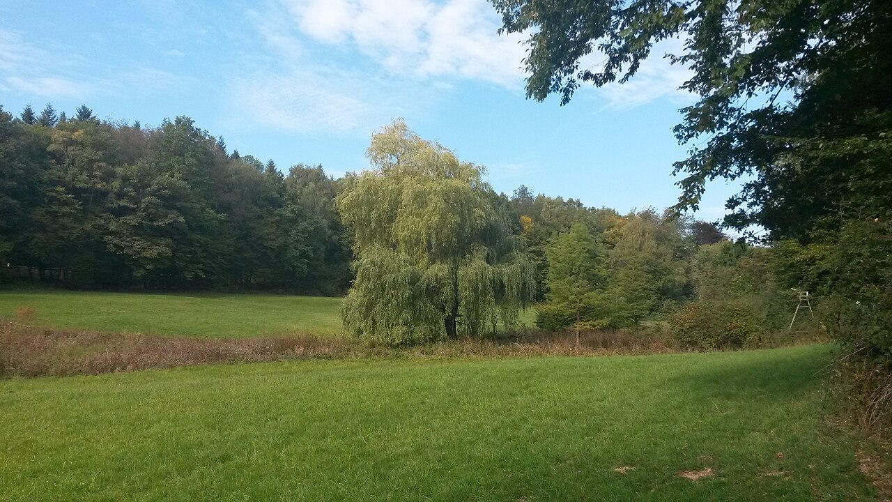 Hornau, Braubachtal bei Hornau