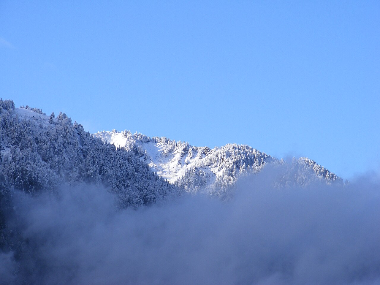 Brauneck , schneebedeckt, von Lenggries gesehen