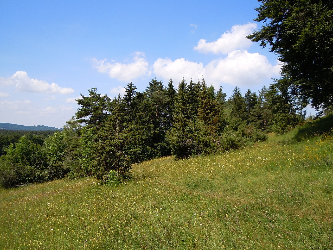 Naturschutzgebiet Braunhartsberg (Schutzgebiets-Nr
