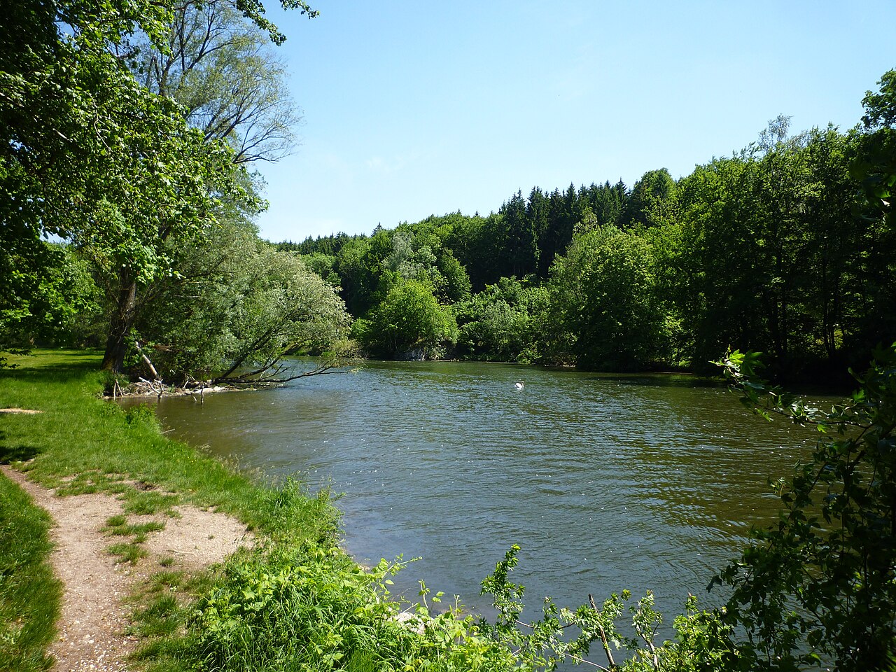 Rechtenstein - Naturschutzgebiet Braunsel, Donau