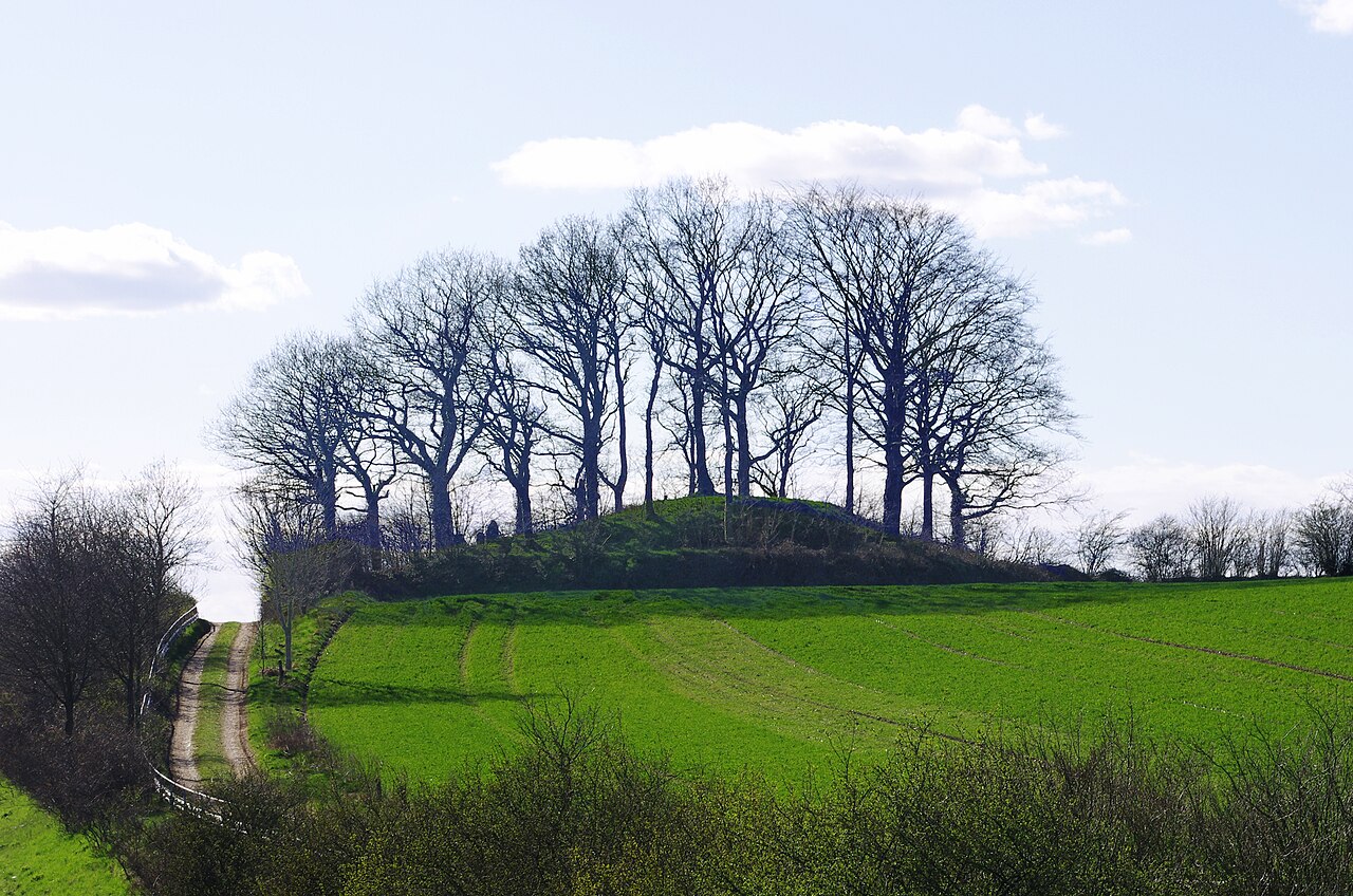 Brautberg in Bordesholm, Ansicht von Osten im April 2012