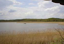 Blick auf den Breeser See bei Lohmen in Mecklenburg-Vorpommern von der Beobachtungskanzel