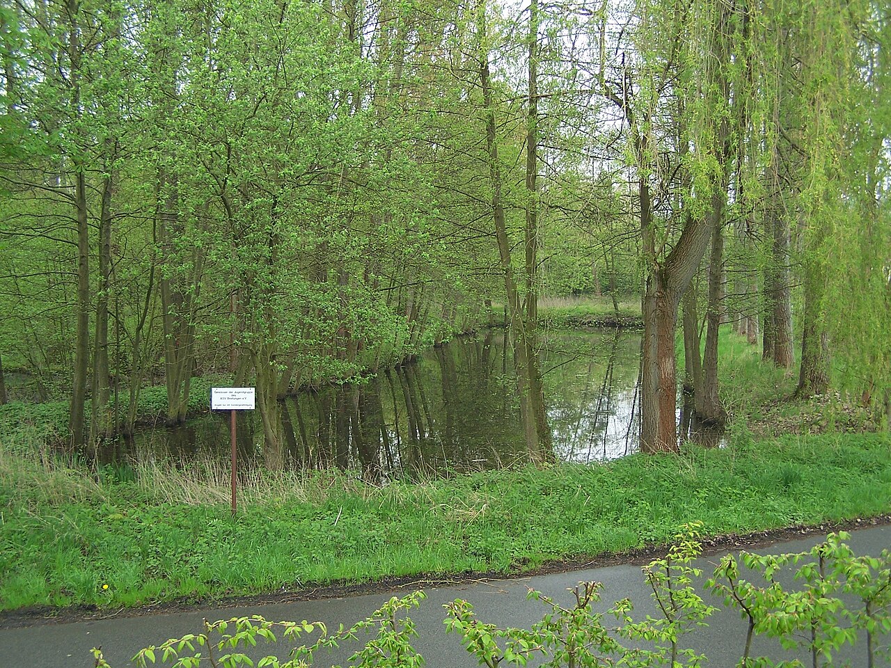 In Breitungen, NSG Breitunger Seen