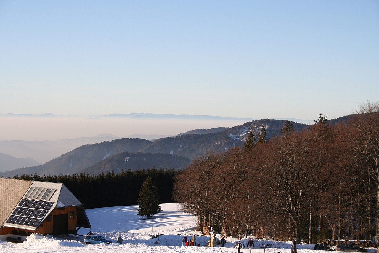 View from Mt