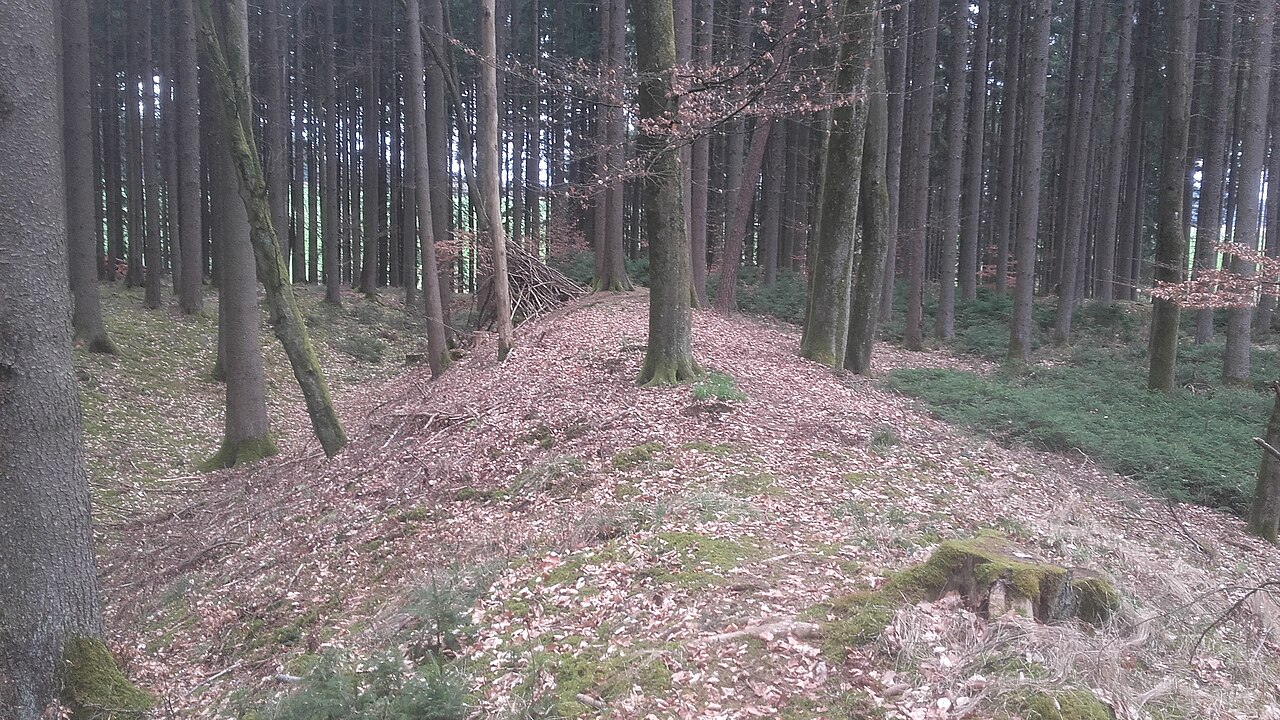 Brennburg bei Willmatshofen - westlicher Wall