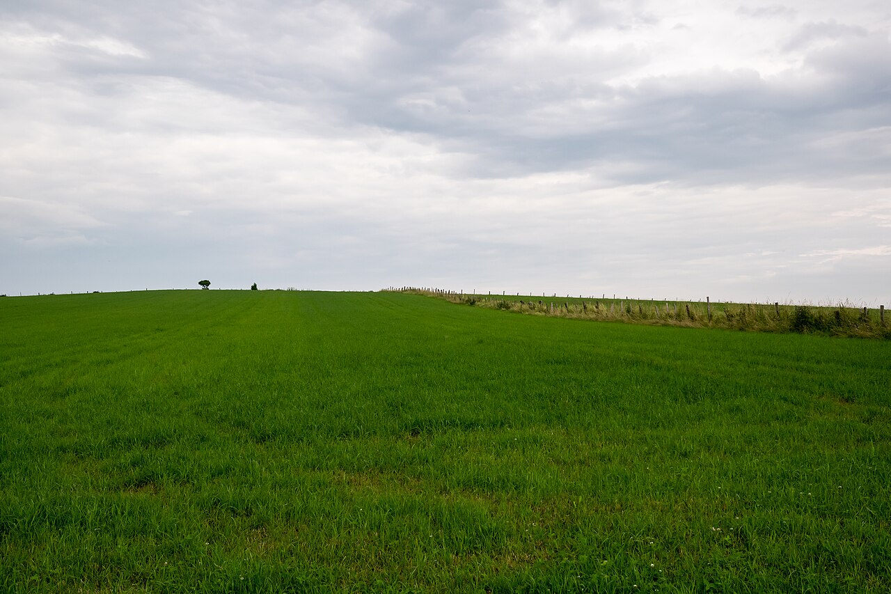 Foto von Brocksberg
