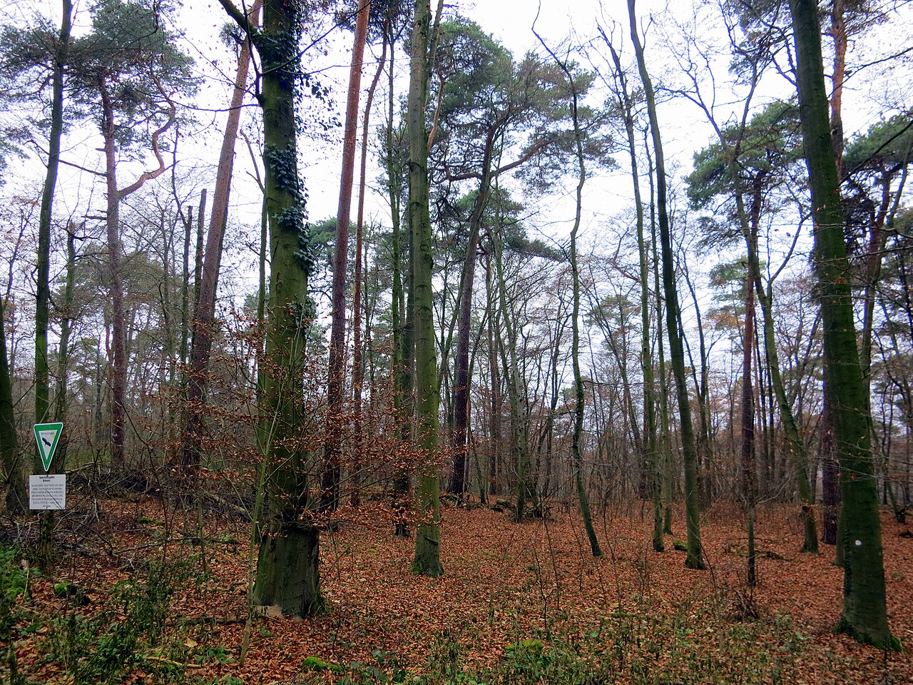 Nature reserve Brömster