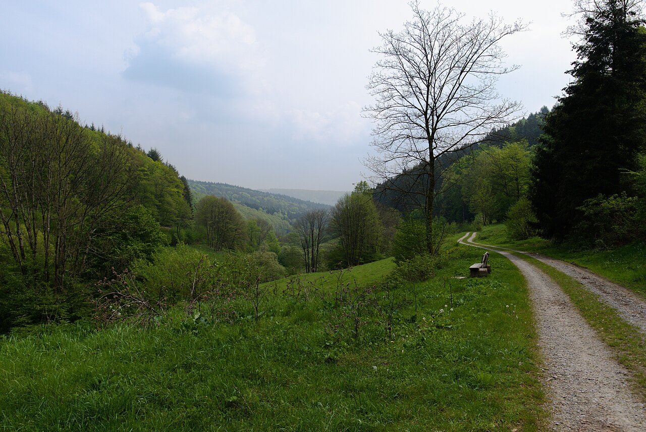 Ein gut ausgebauter Feldweg entlang des Brombacher Tals mit Blickrichtung ins Hainbrunner Tal