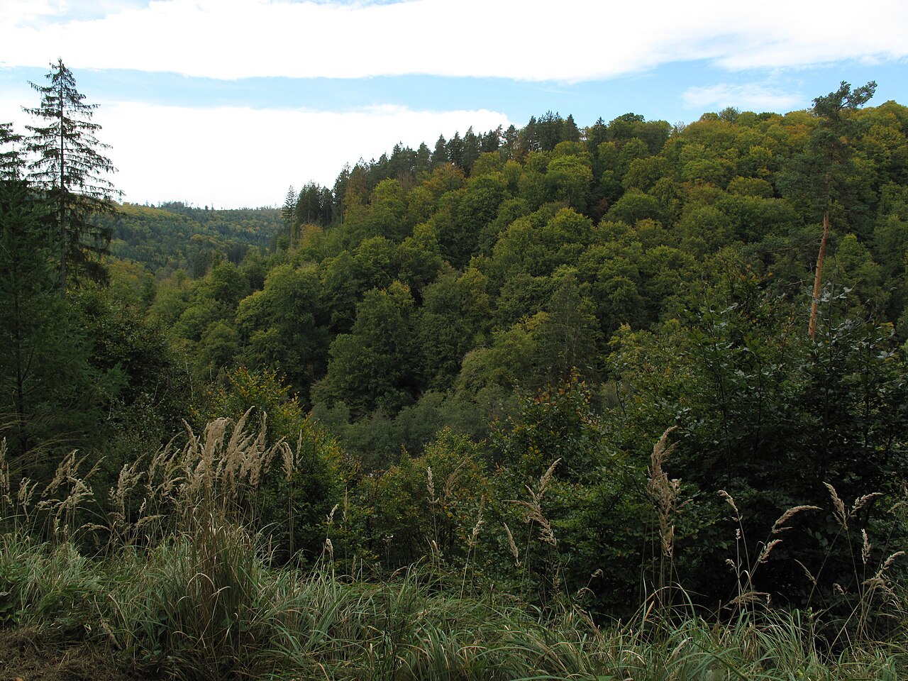 Blick zum Bromberg im Schönbuch