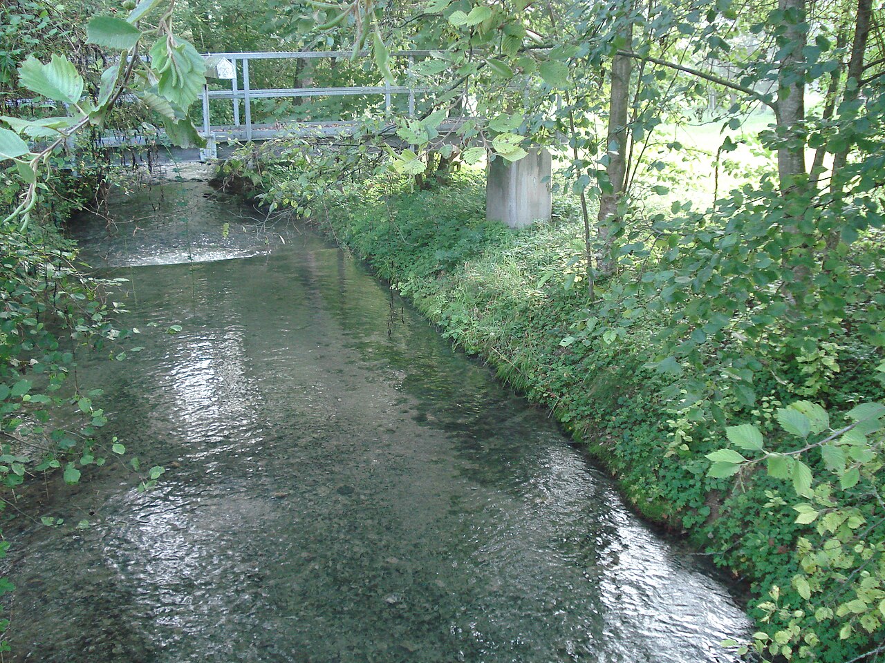 Der abfließende Bronnbach aus der Bronnbachquelle