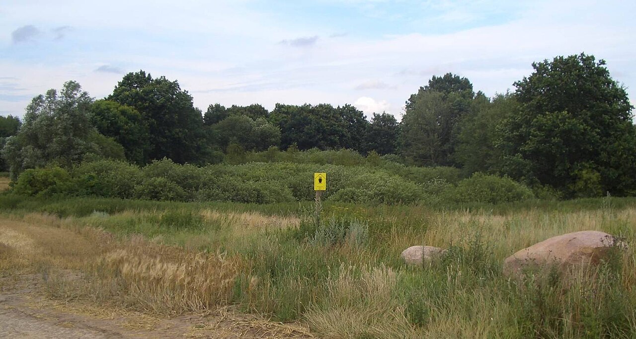 Brooksee, südlich Brookhusen (Mecklenburg-Vorpommern, Deutschland)