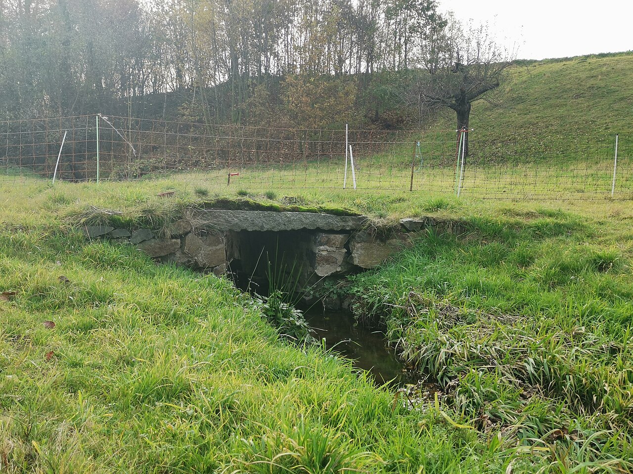Denkmalgeschützter Brückensteg über die Orla am Mühlweg in Wachau