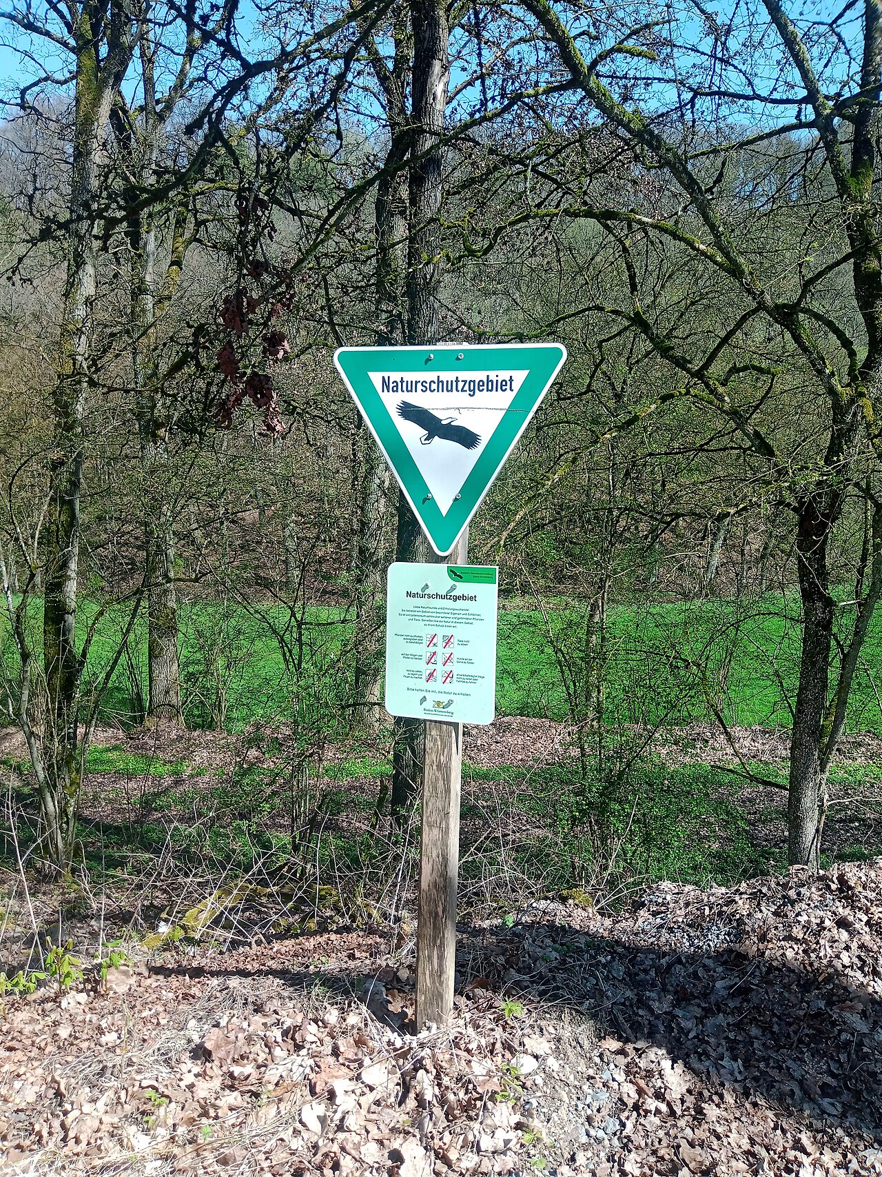 Naturschutzgebiet Brünnbachtal 2024